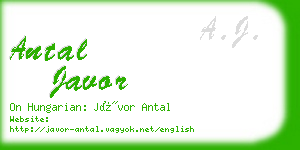 antal javor business card